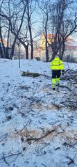 Tną aż wióry lecą