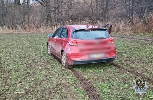Biegiem oddalił się do lasu