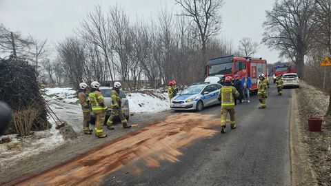 Pijany kierowca uderzył w drzewo