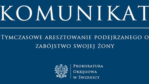Zadał kilkanaście ran kłutych