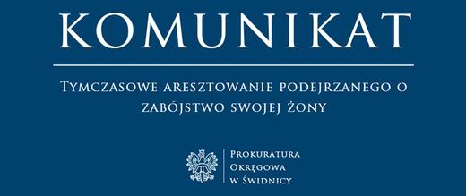 Zadał kilkanaście ran kłutych