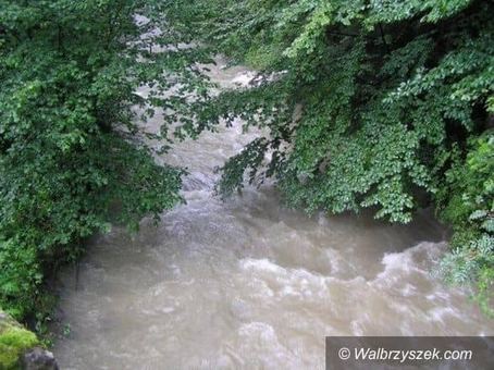 Zwłoki w Pełcznicy