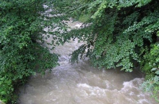 Zwłoki w Pełcznicy