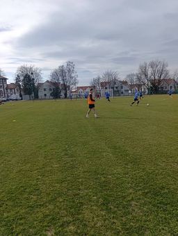 Polonia w gazie