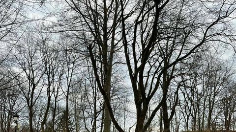 Wałbrzych nastawiony na wiosenną ofensywę