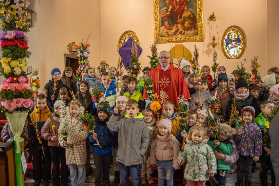 Takie palmy tylko w Czarnym Borze!