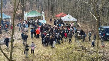 Posprzątali i posadzili