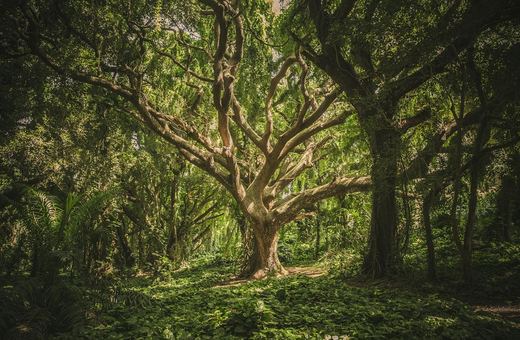 Bezpieczeństwo i etyka w łowiectwie – o czym mówi się za mało?