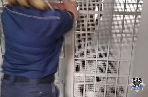 Szarpał pracownika ochrony