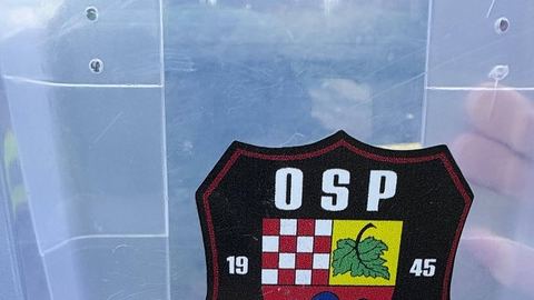 Żmija na posesji i ptak w potrzasku
